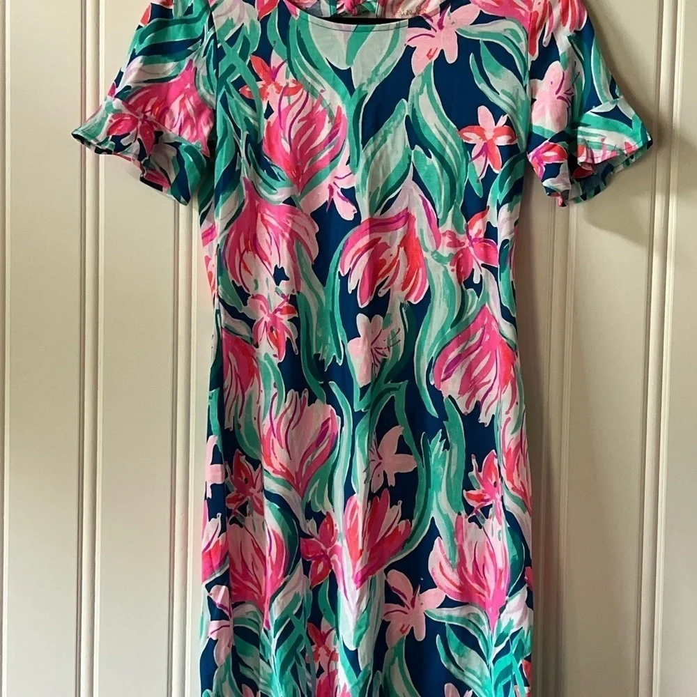 Lilly‎ Pulitzer Pink and Green Ruffled Sundress Size XS